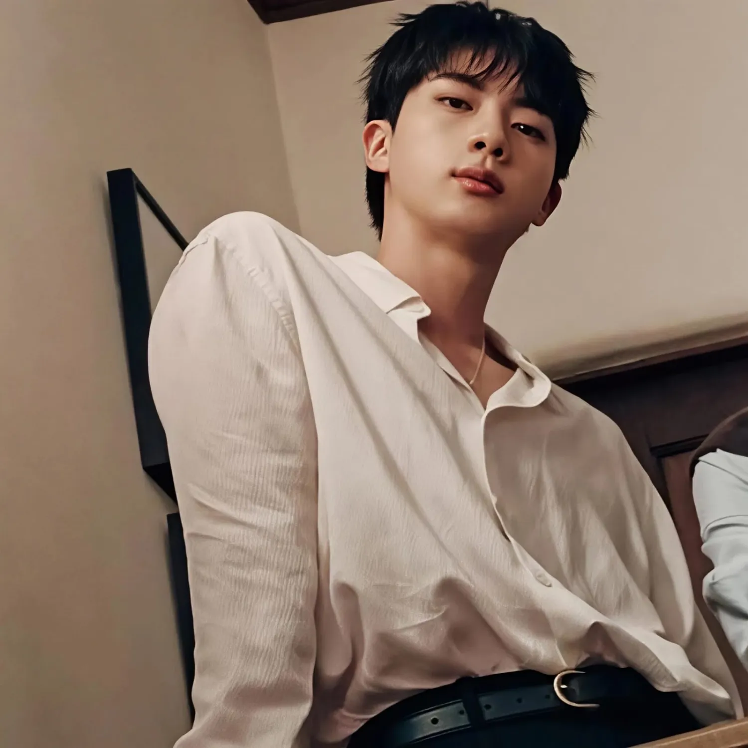 A moment captured by Jin (BTS)'s fan