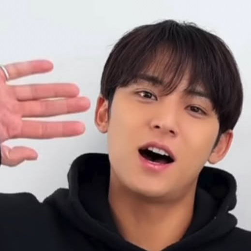 A moment captured by Mingyu (SEVENTEEN)'s fan