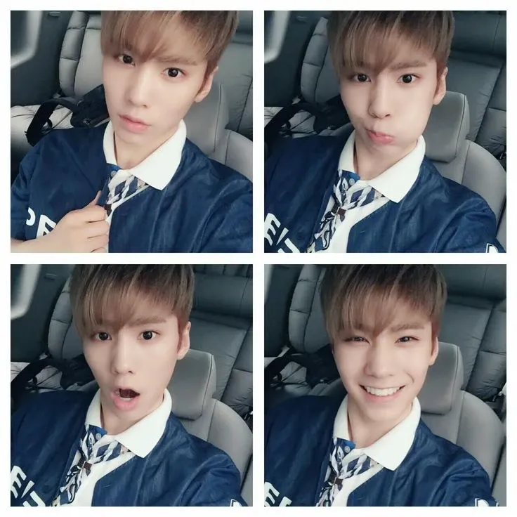 Recent activity shot of Rocky