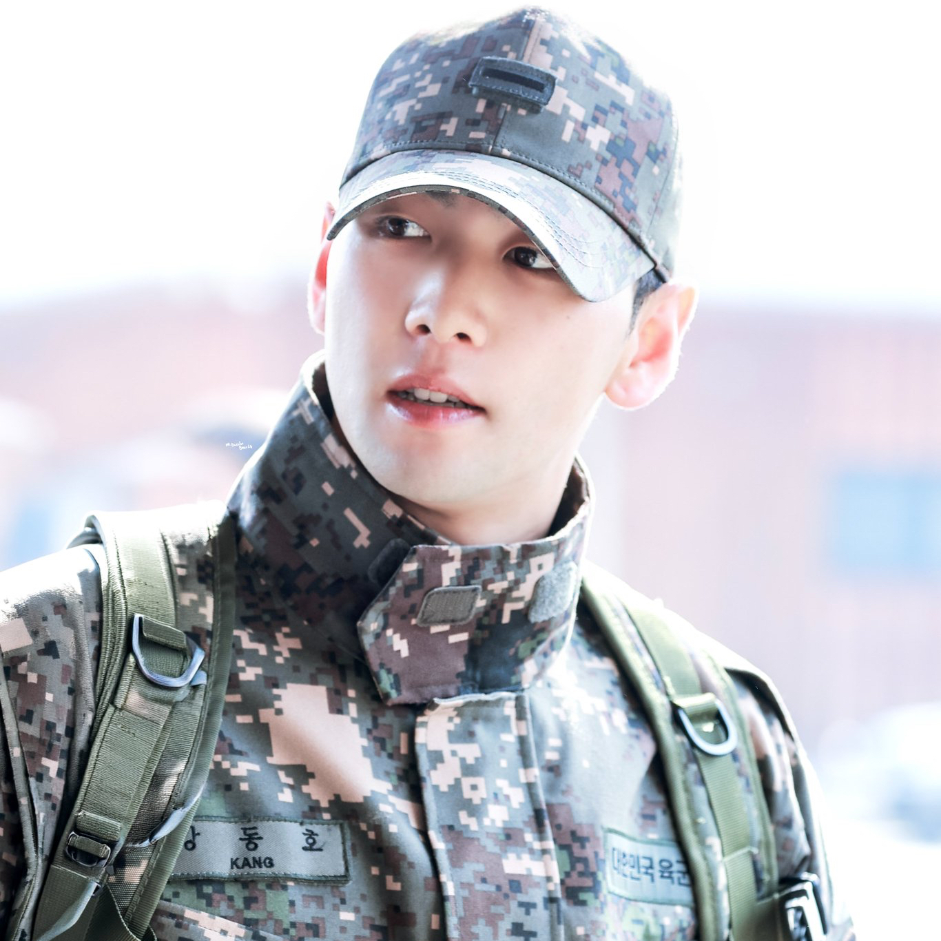 백호 최근 활동샷