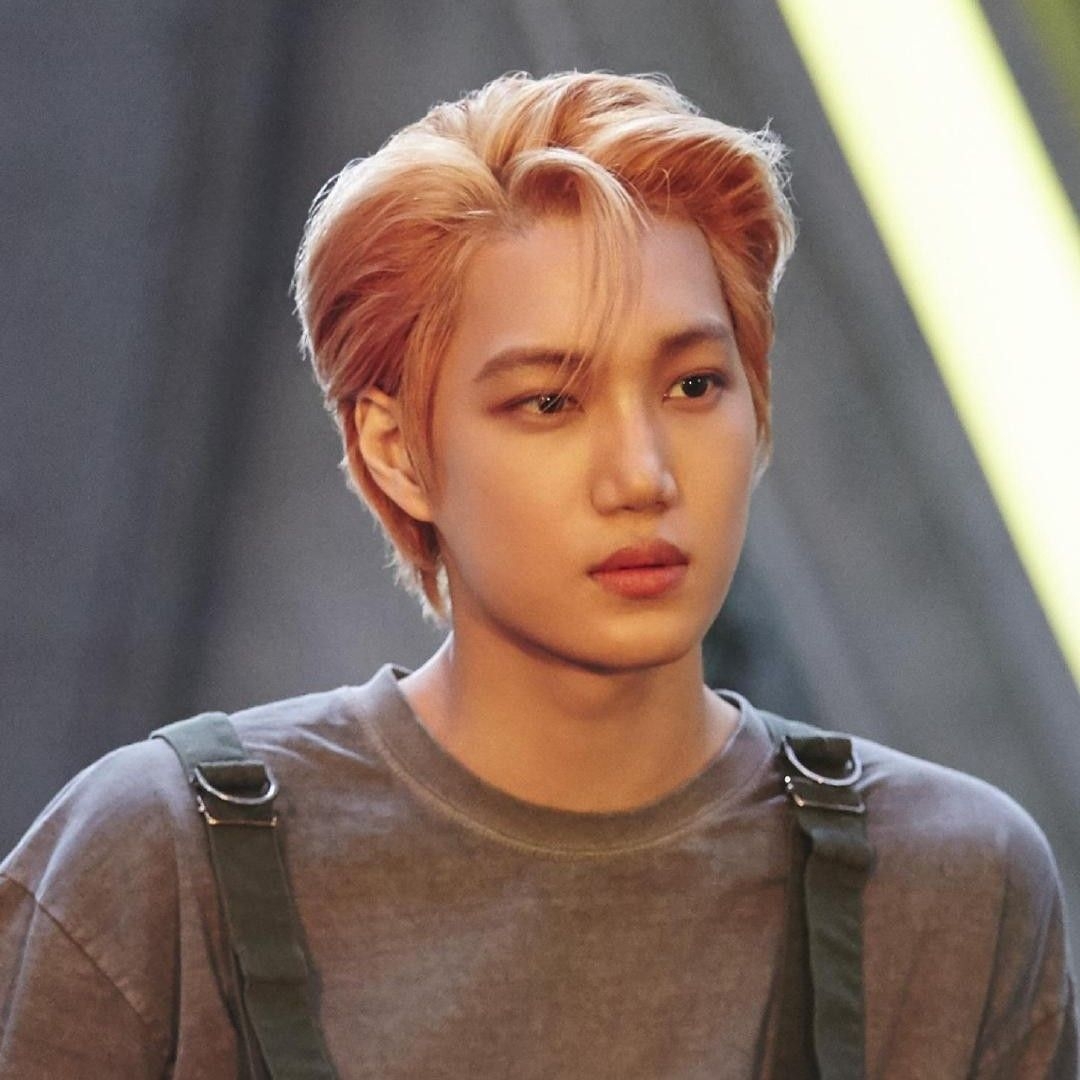 Potret di balik layar EXO