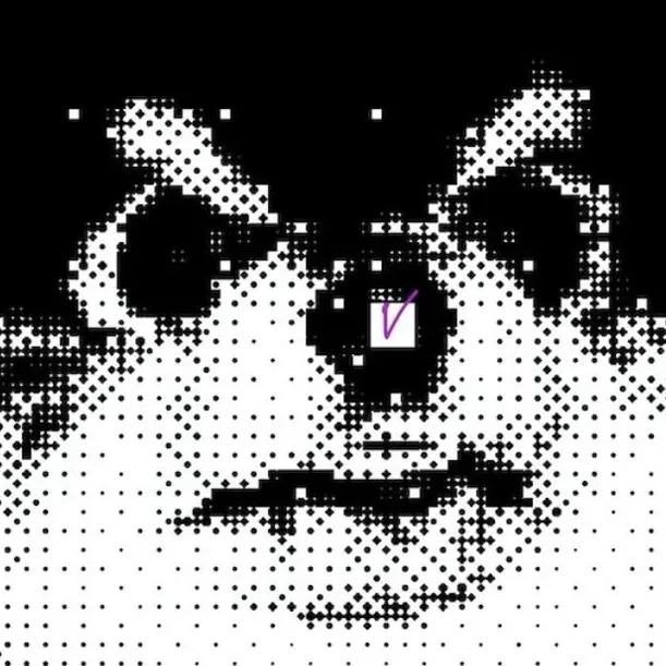 방탄소년단 팬이 찍은 순간