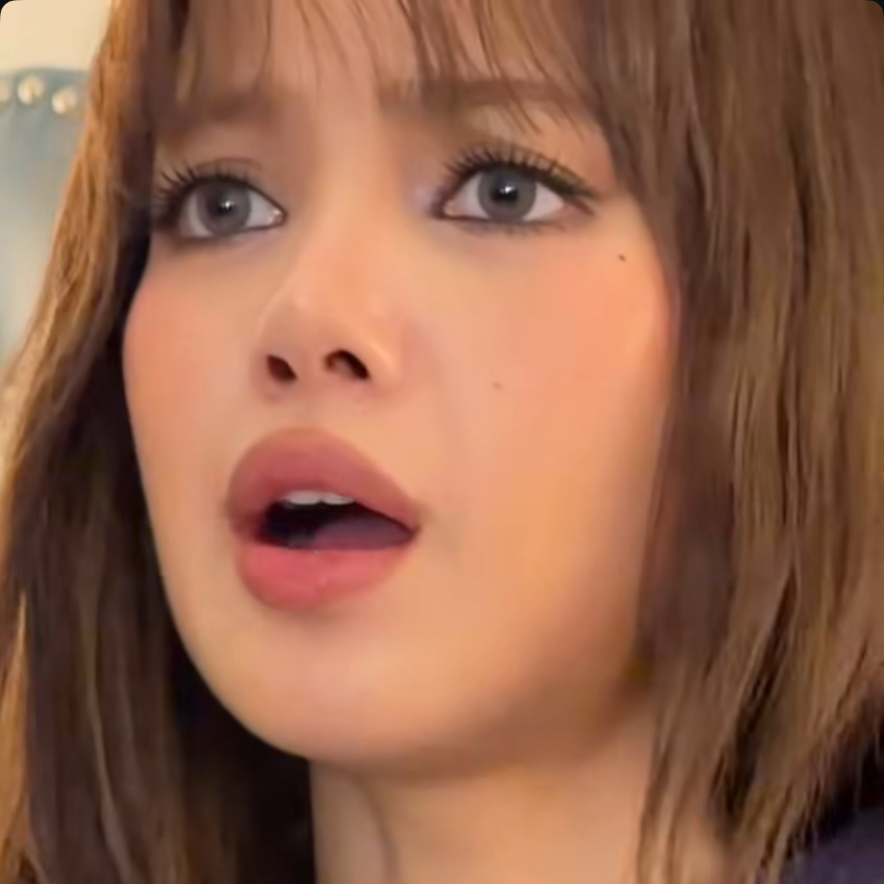 BLACKPINK 팬이 찍은 순간