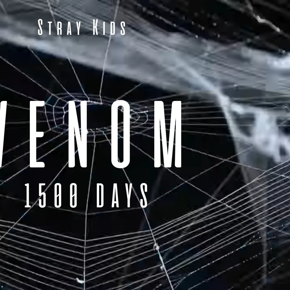 チャンビン (Stray Kids)の舞台裏ショット