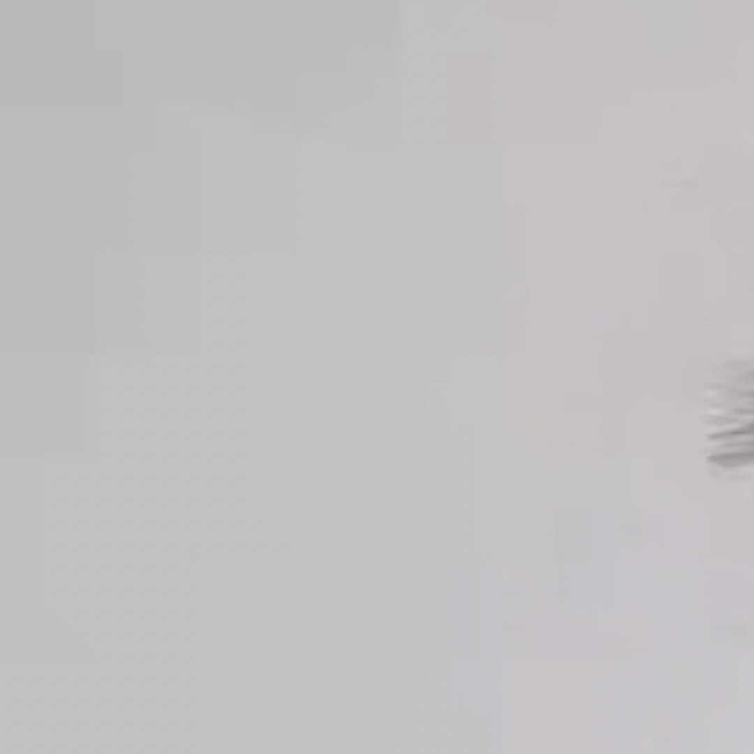 Momen yang diabadikan oleh penggemar Board