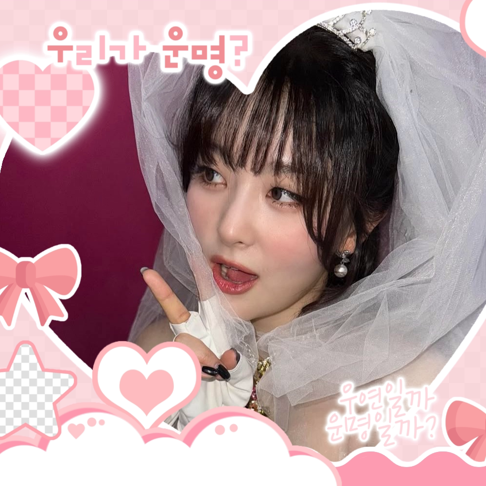 레드벨벳 팬이 찍은 순간