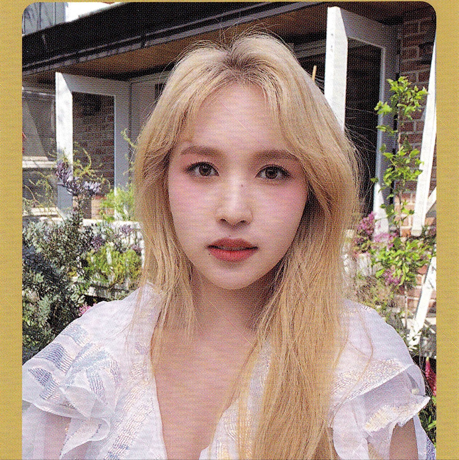 미나 (TWICE)의 최신 사진