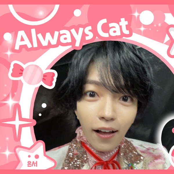 오늘 최애돌에서 빛나는 나니와단시의 대표 사진