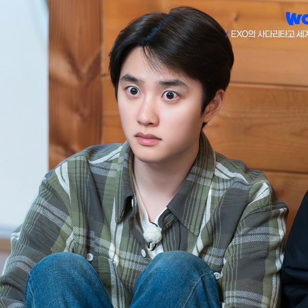 디오 (EXO) 팬이 찍은 순간