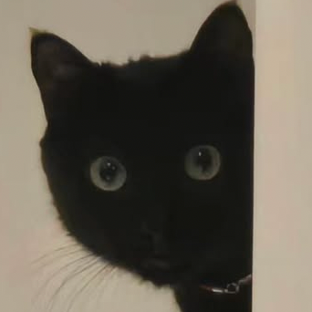 SUGA (BTS)の最近の活動写真