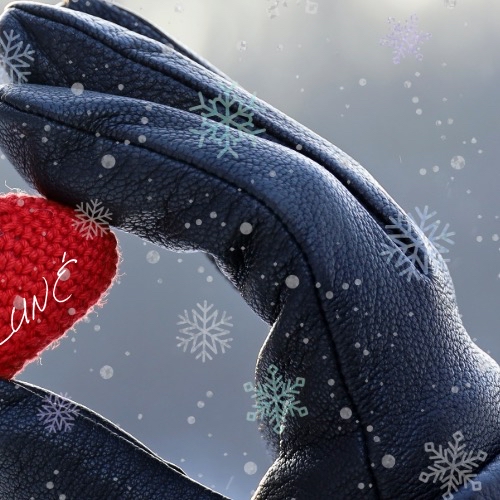 후마 (앤팀) 최근 활동샷