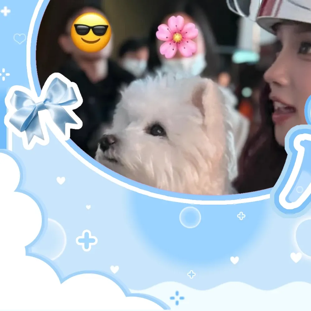 Latest photo of Yuqi (i-dle)