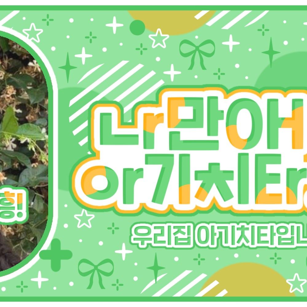 圭真 (NMIXX)粉絲拍下的瞬間