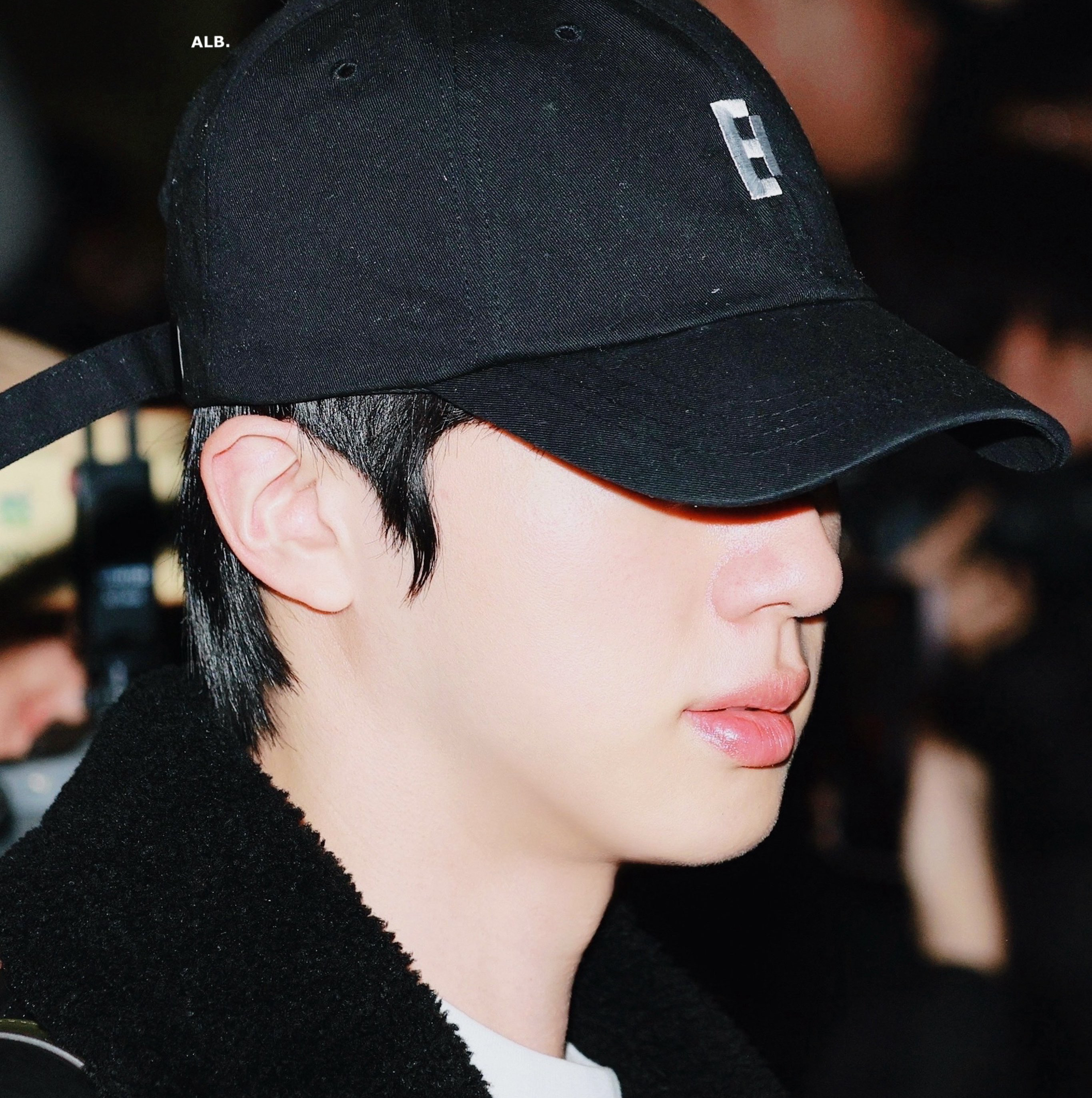 진 (방탄소년단) 팬이 찍은 순간