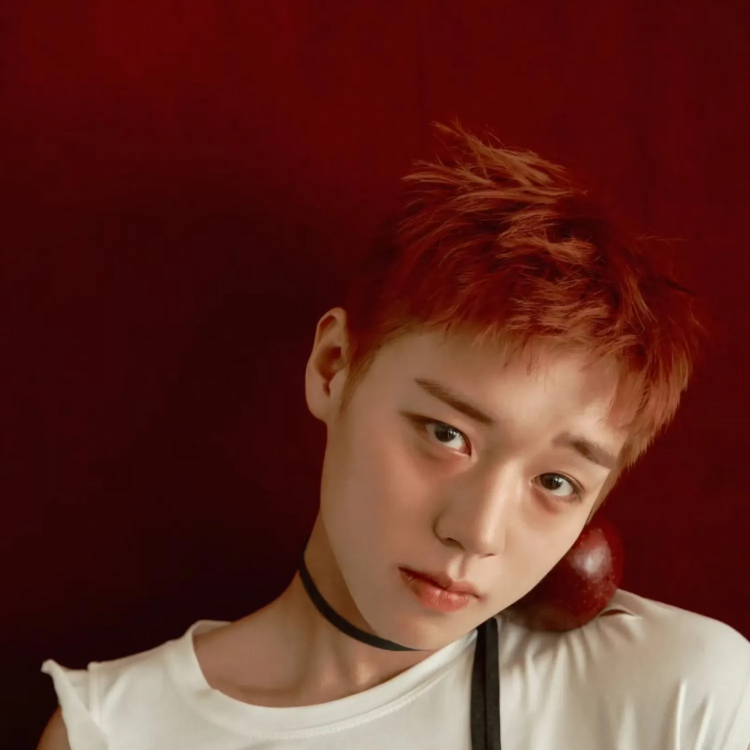 박지훈 팬이 찍은 순간