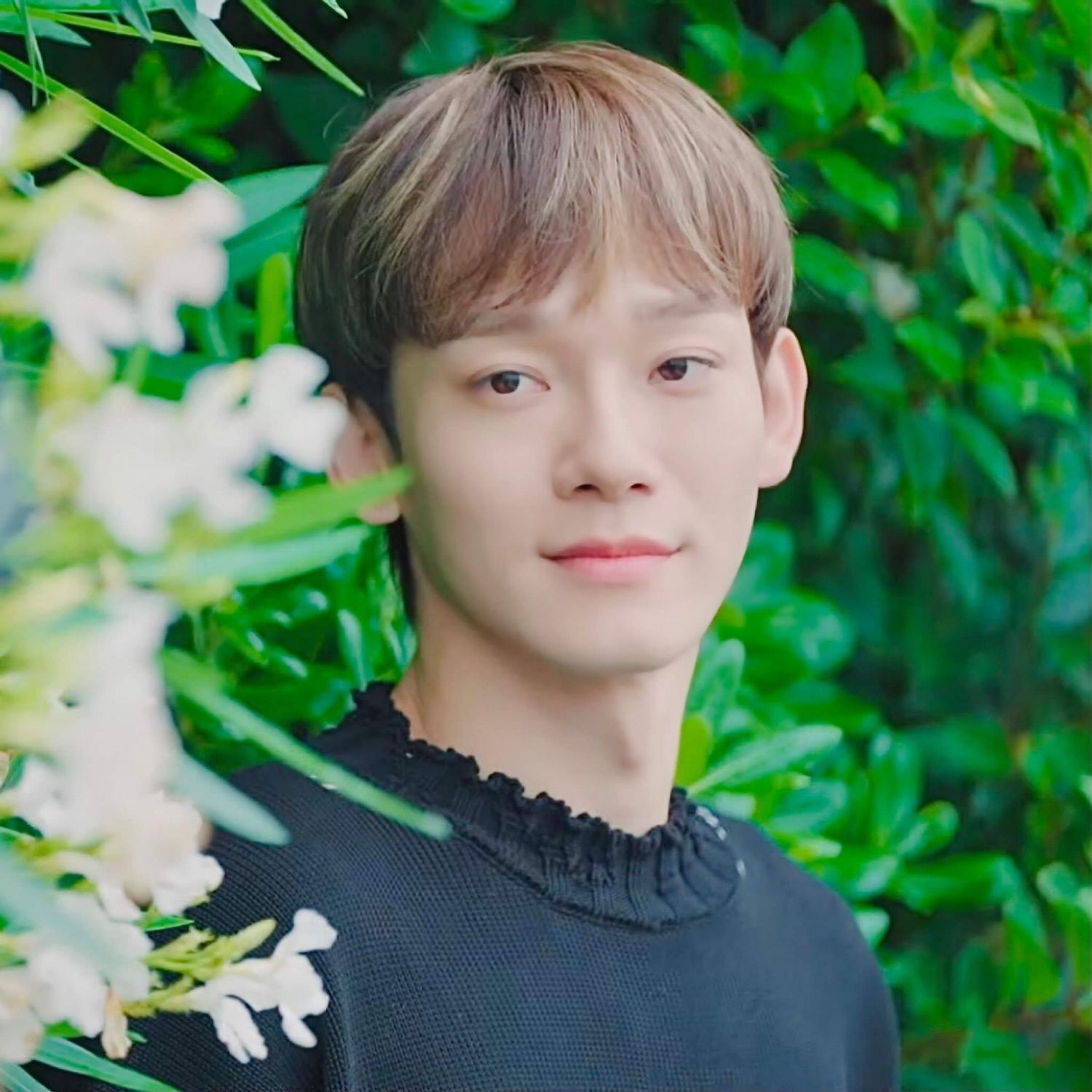 A moment captured by Chen (EXO)'s fan