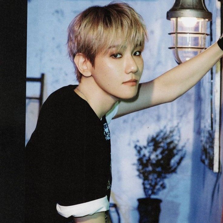 伯賢 (EXO)粉絲拍下的瞬間