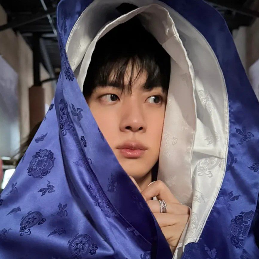 Momen yang diabadikan oleh penggemar Jin (BTS)