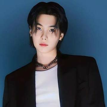 슈가 (방탄소년단) 최근 활동샷