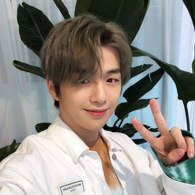 Recent activity shot of Kang Daniel