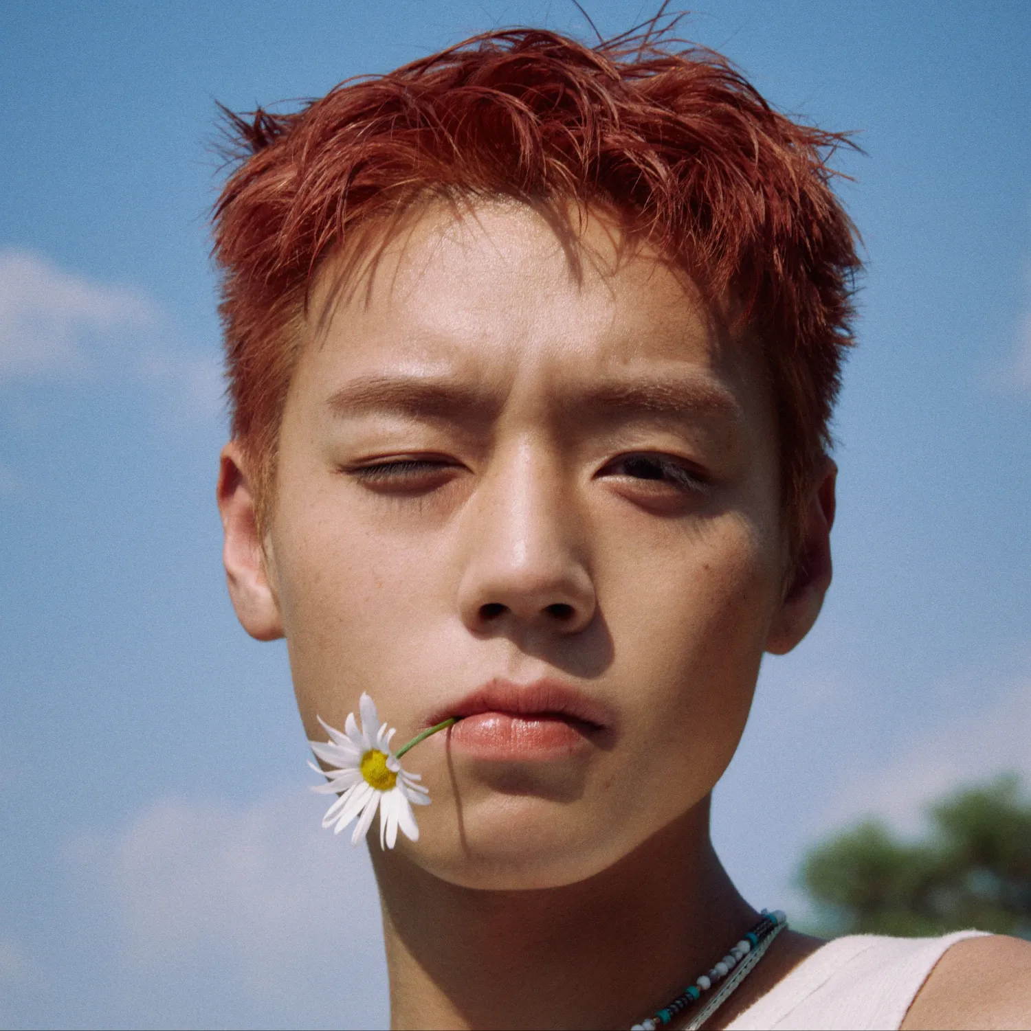 박지훈 팬이 찍은 순간