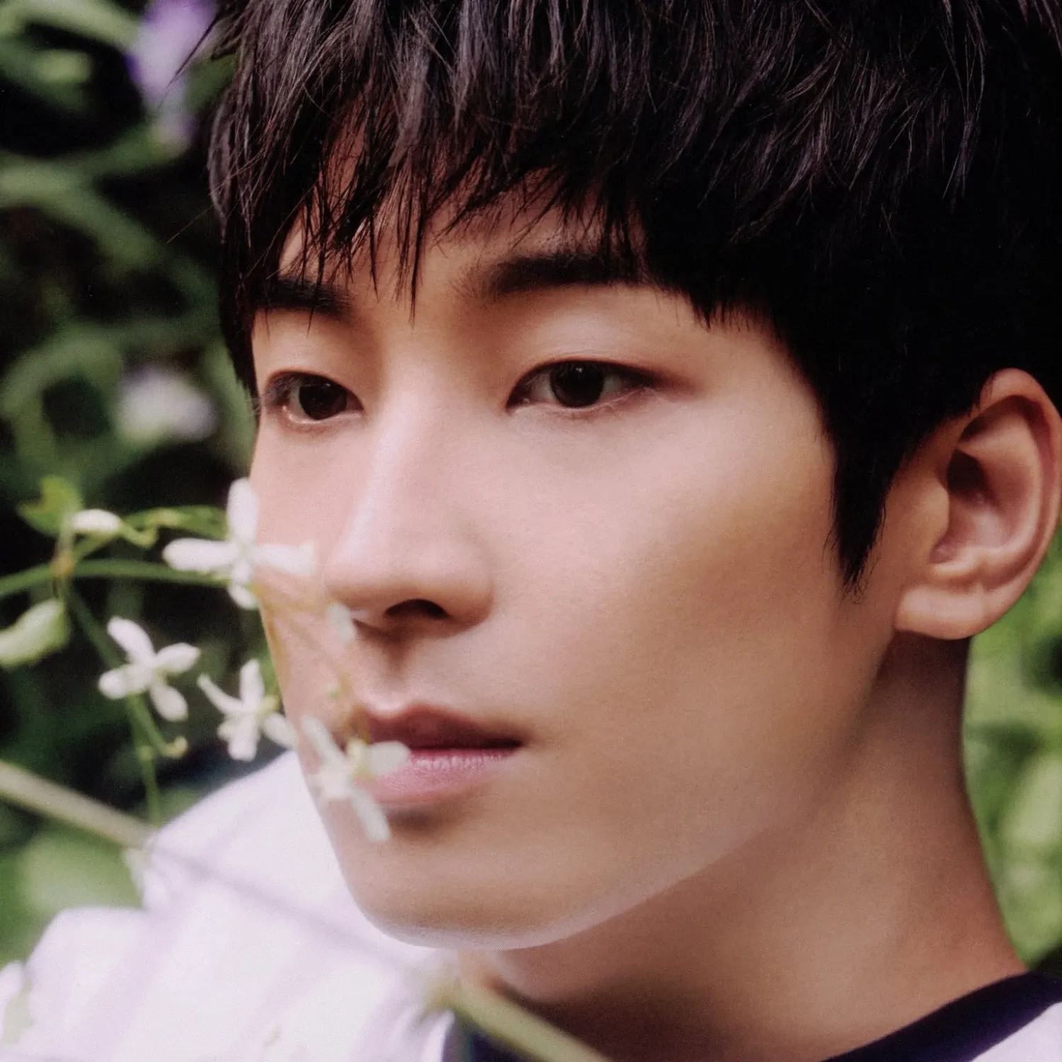 원우 (세븐틴)의 최신 사진