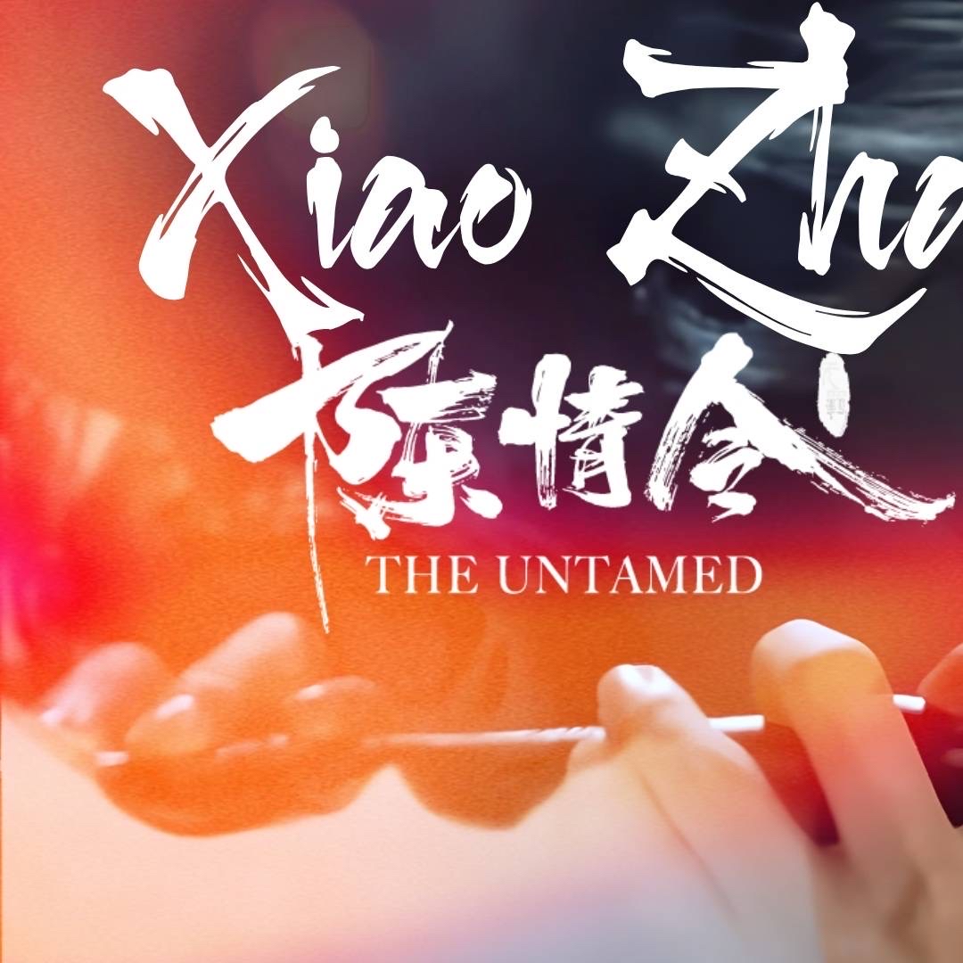 A moment captured by Xiao Zhan's fan