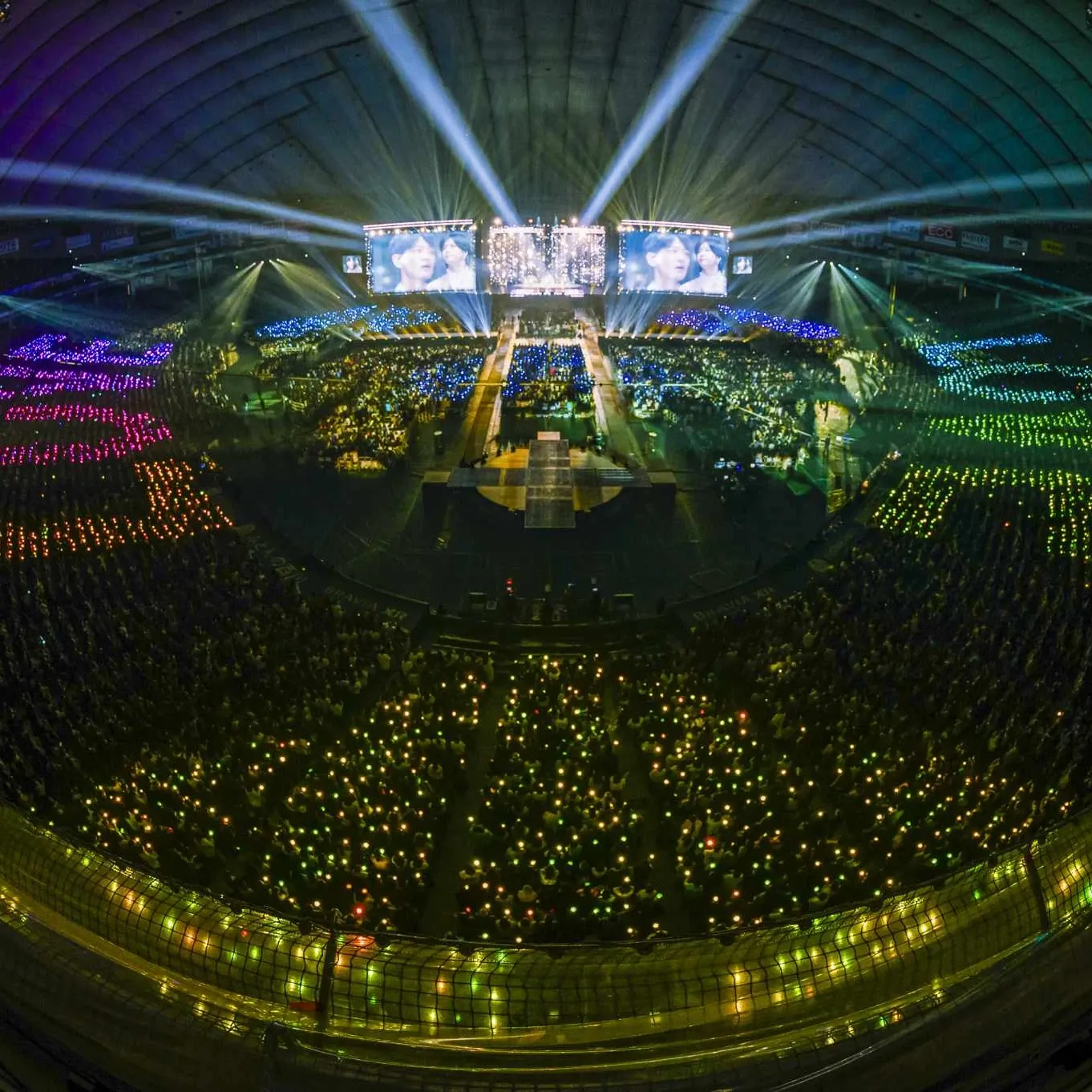 Recent activity shot of SHINee