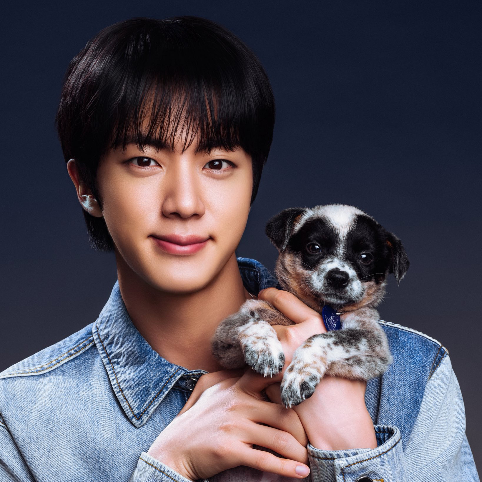 진 (방탄소년단) 최근 활동샷