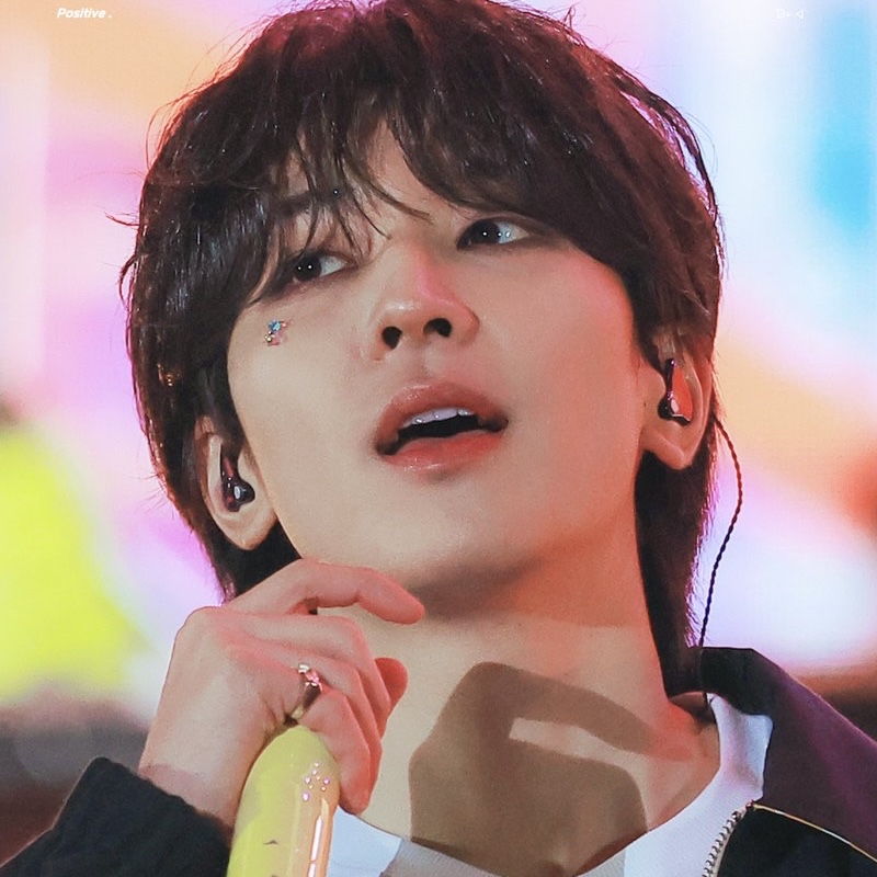 원우 (세븐틴) 팬이 찍은 순간