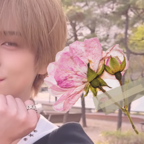 Latest photo of Taki (&TEAM)