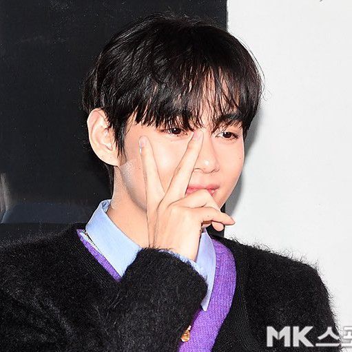 V (BTS)ファンが撮った瞬間
