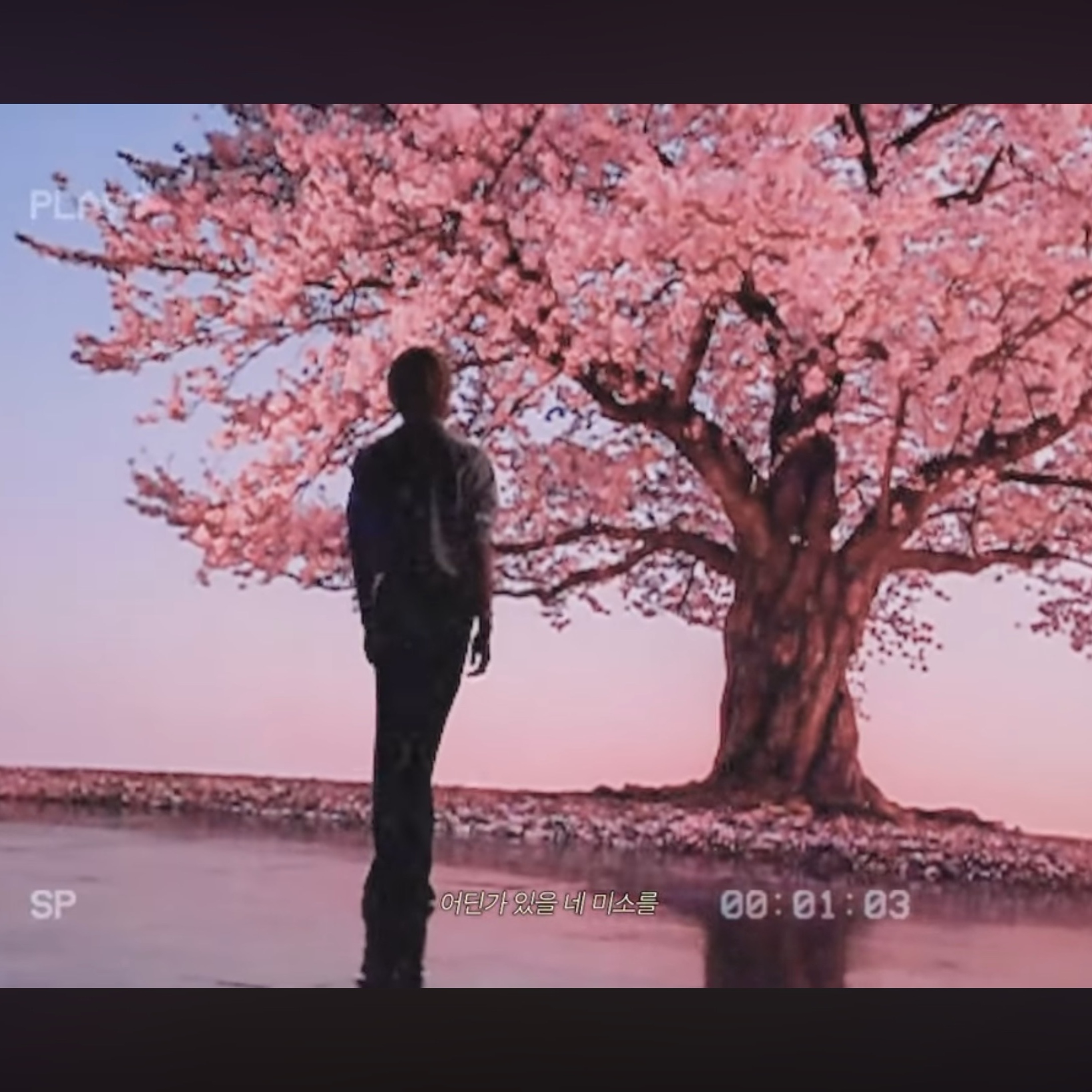 Behind-the-scenes cut of Sungho (BOYNEXTDOOR)