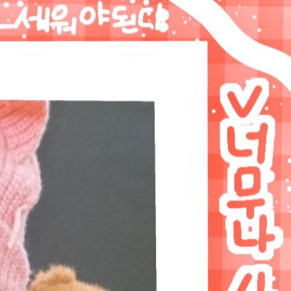 수진 팬이 찍은 순간