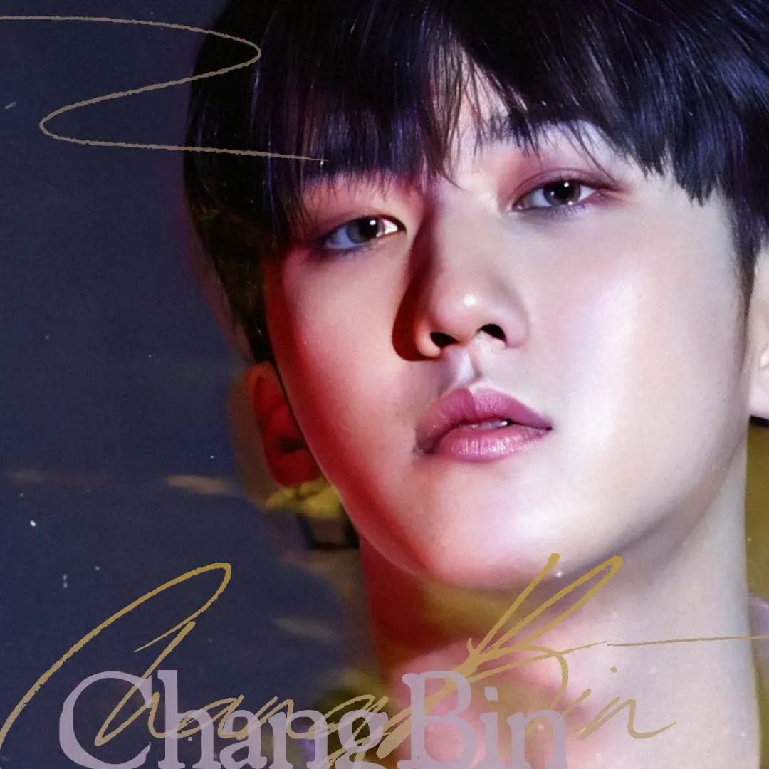 チャンビン (Stray Kids)ファンが撮った瞬間