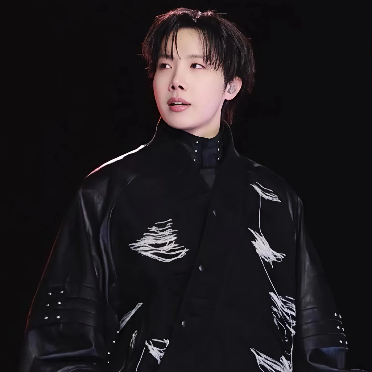 제이홉 (방탄소년단) 팬이 찍은 순간