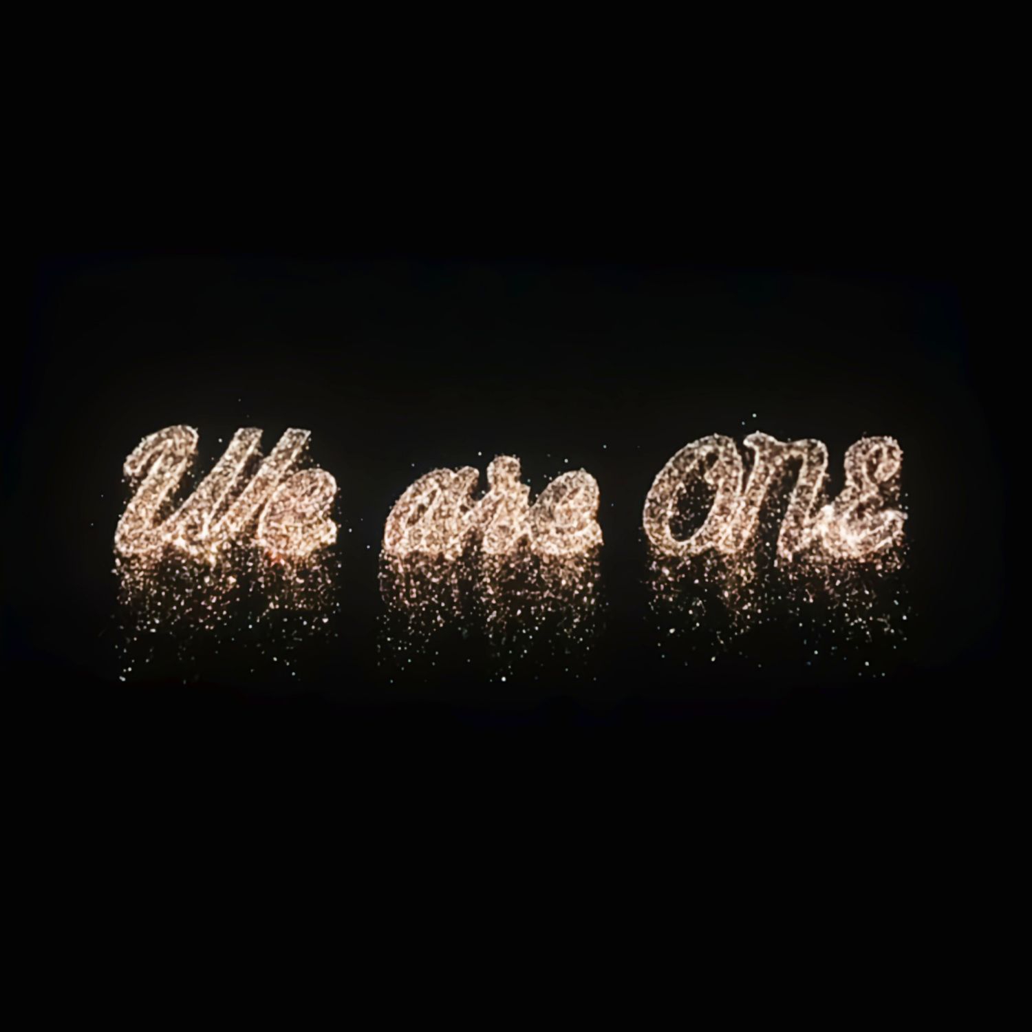 EXO 팬이 찍은 순간