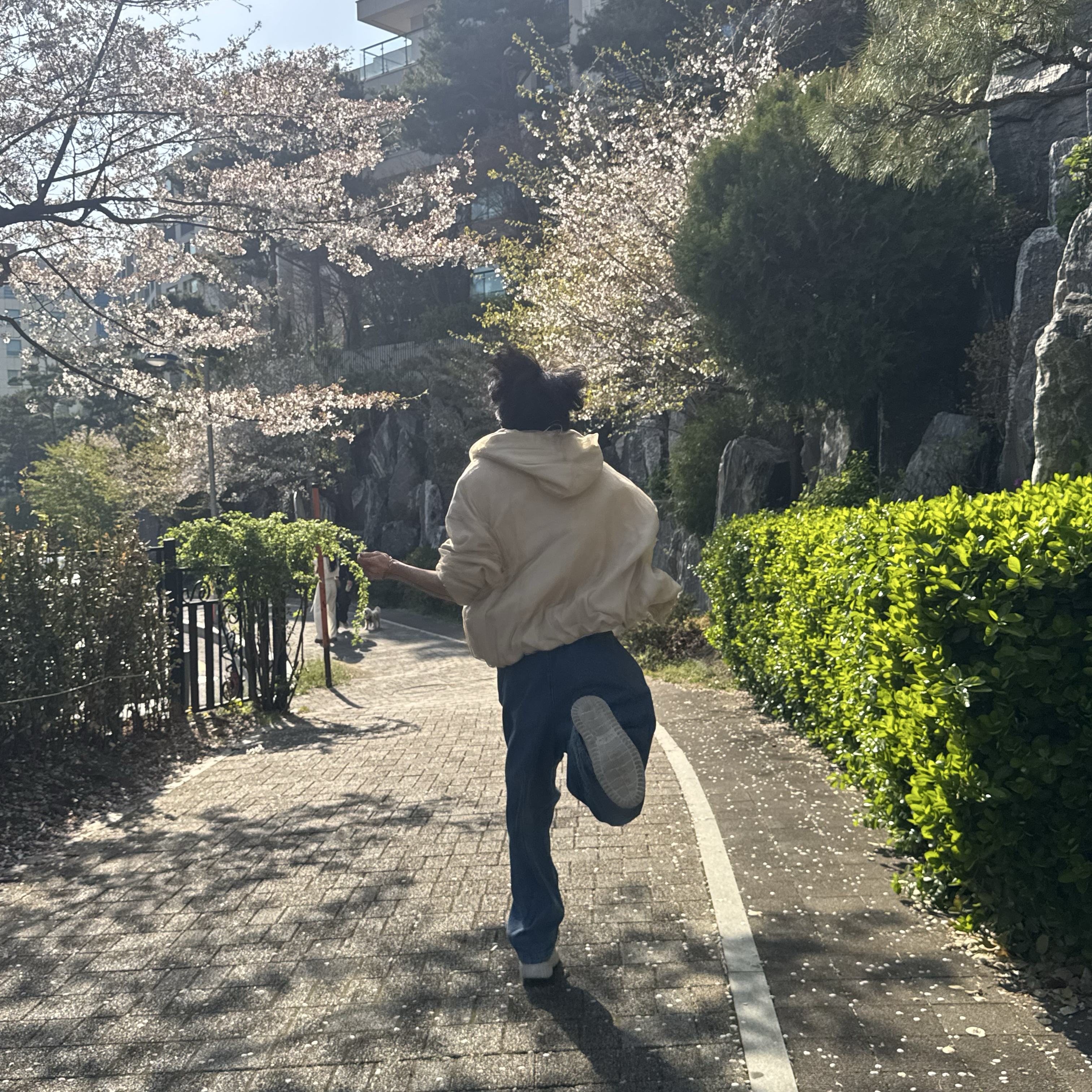 A moment captured by Jeonghan (SEVENTEEN)'s fan