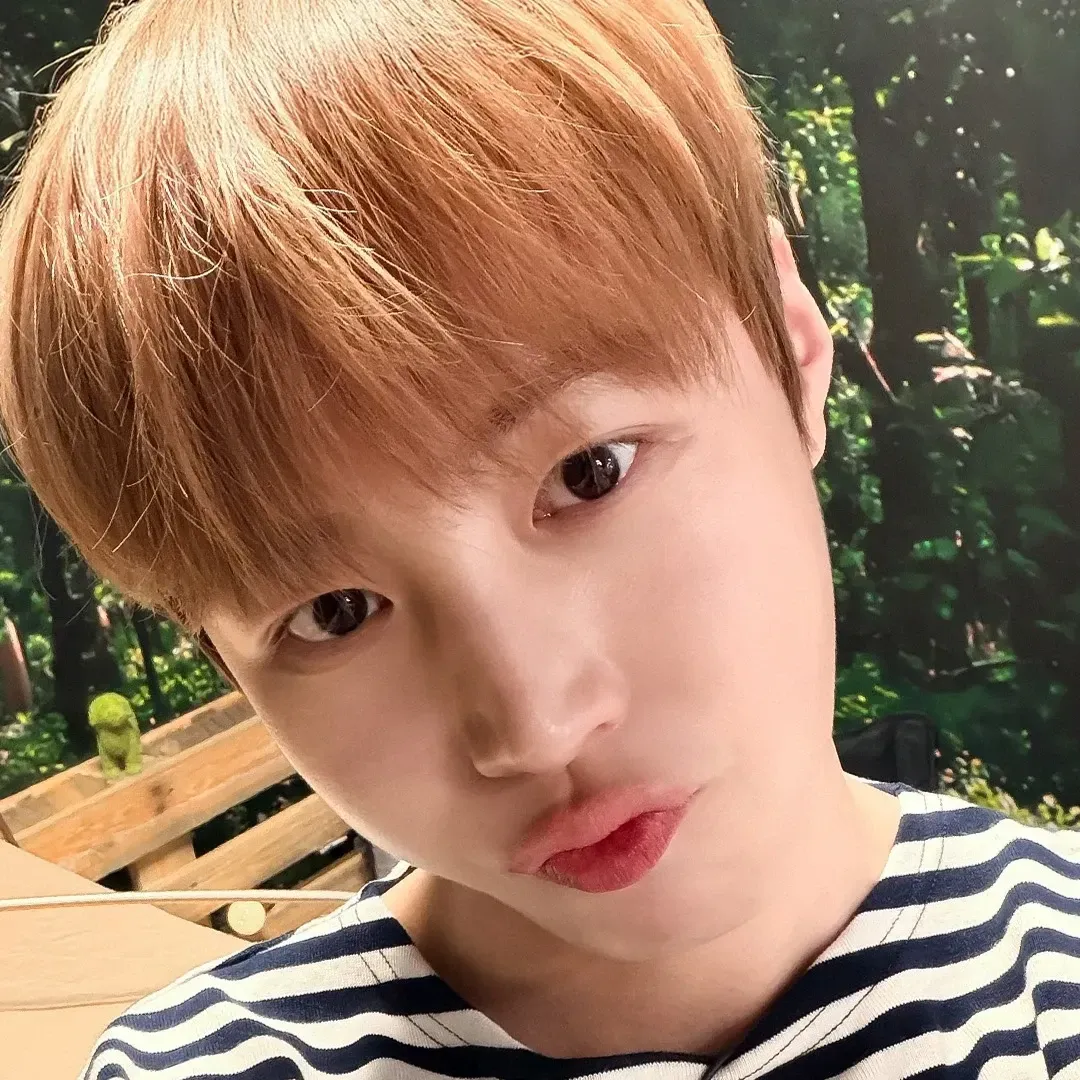 A moment captured by Ha Sungwoon's fan