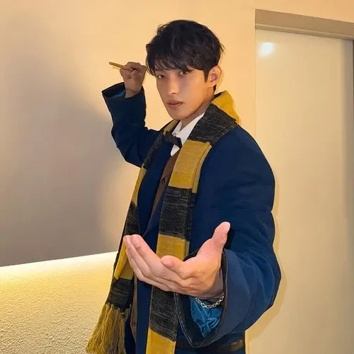 세븐틴 팬이 찍은 순간