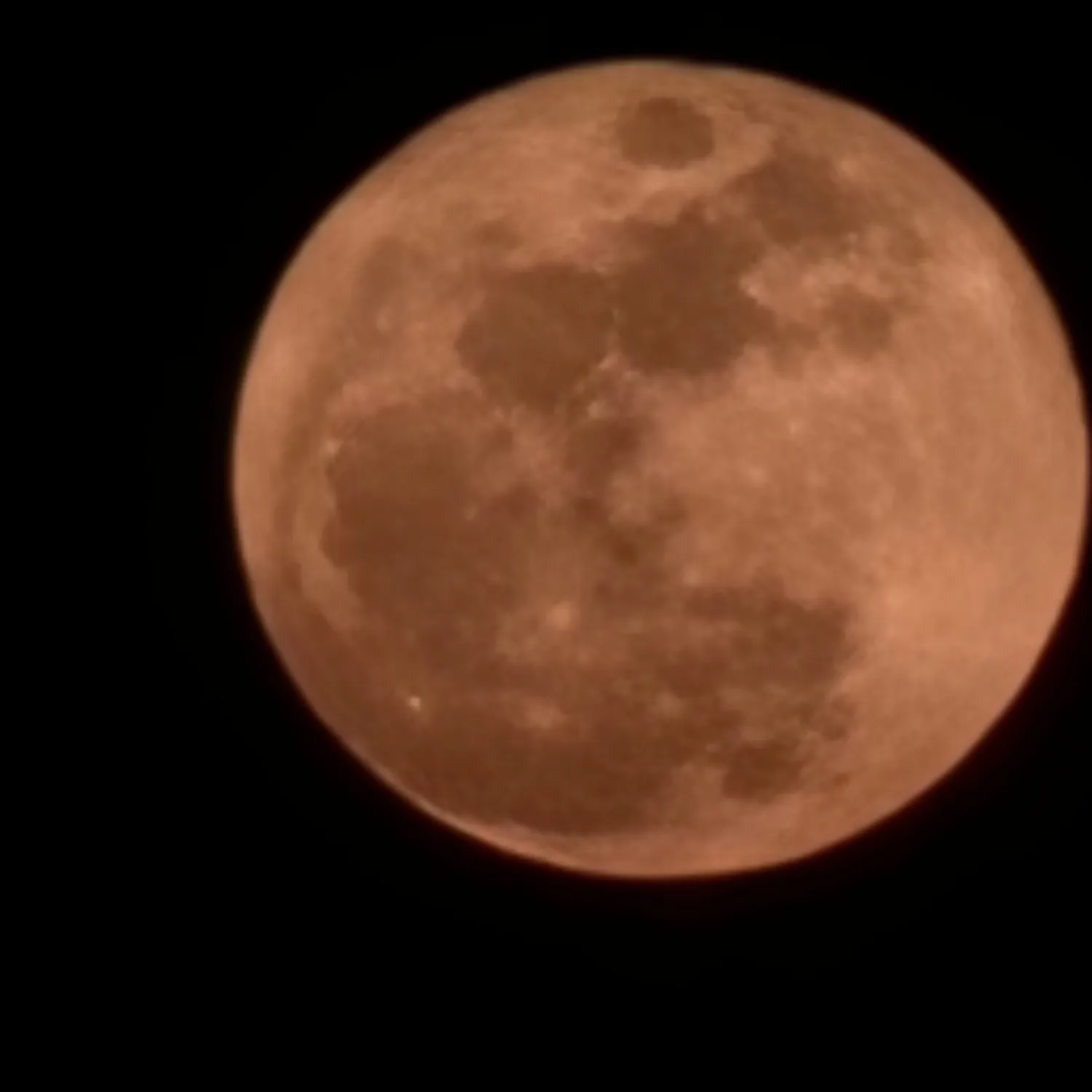 Recent activity shot of Billlie