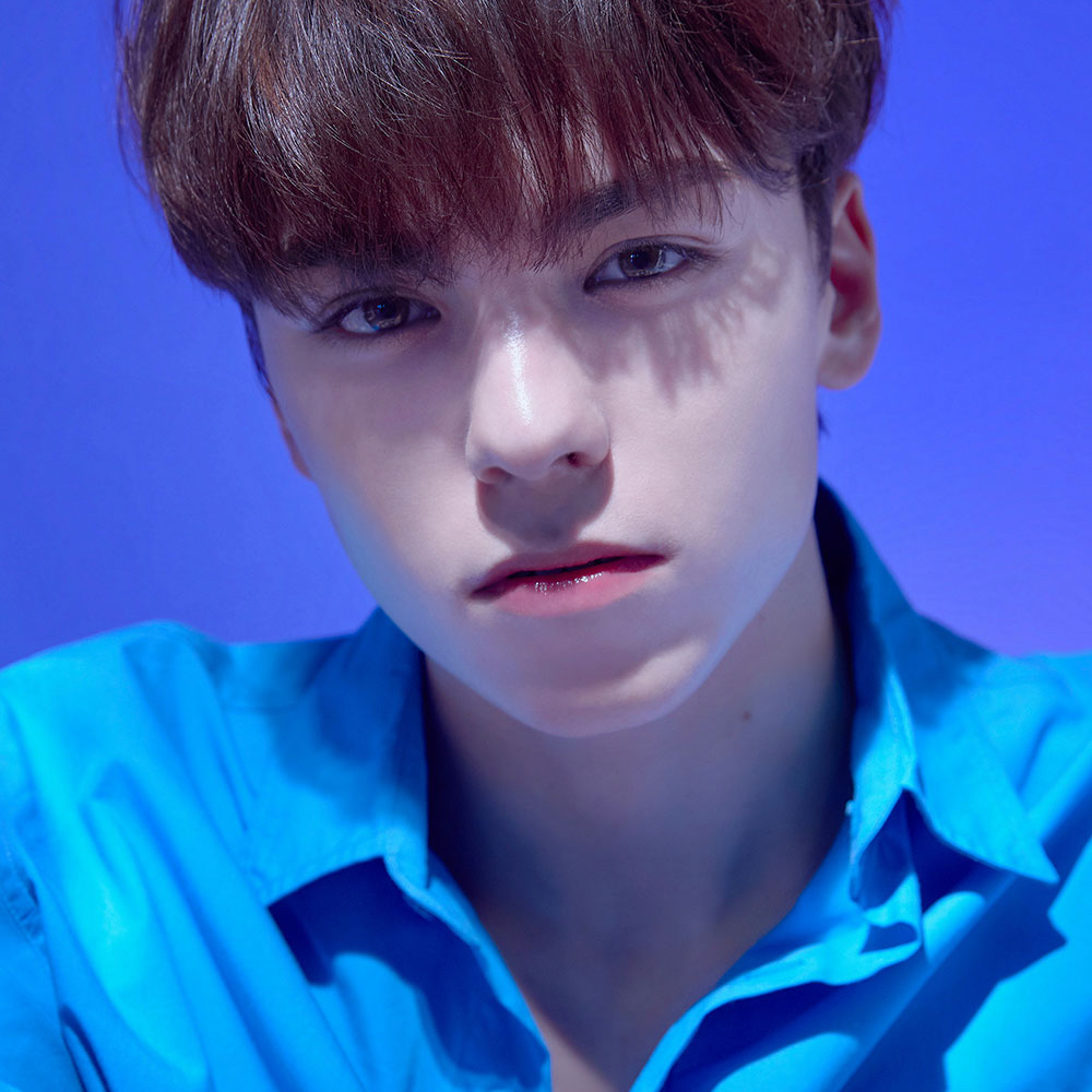 세븐틴의 비하인드 컷