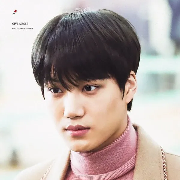 EXO的最新活動照片