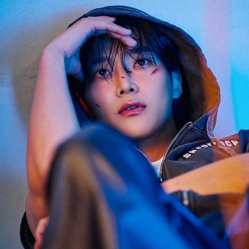 ロウンの最近の活動写真