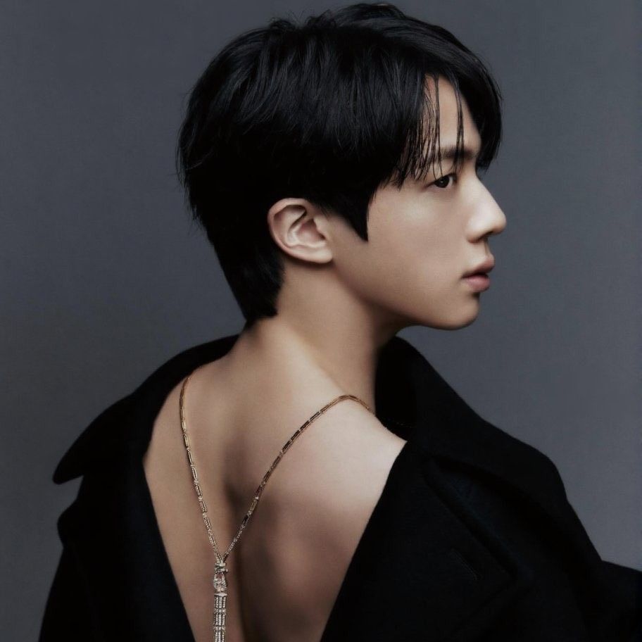 Jin (防弹少年团)粉丝拍下的瞬间