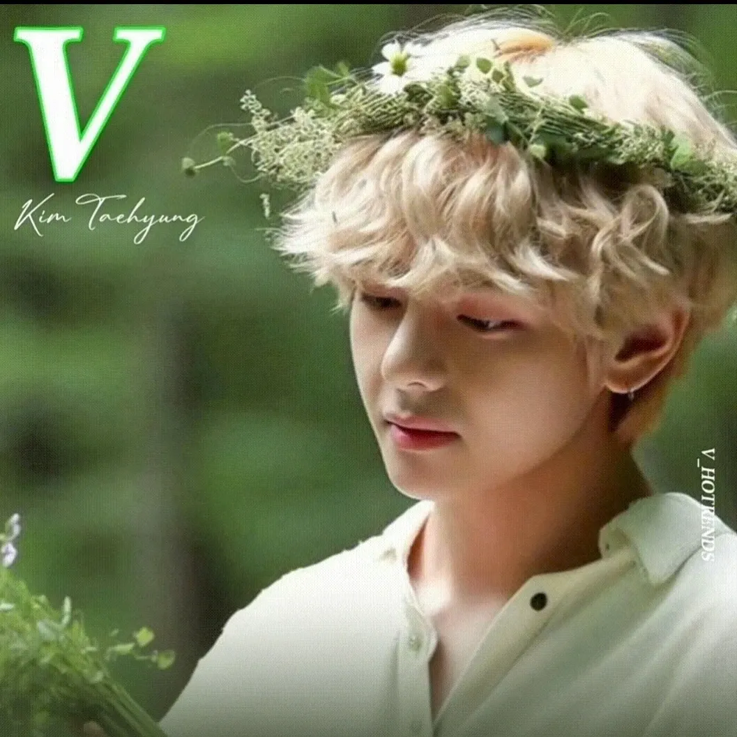 V (BTS)ファンが撮った瞬間