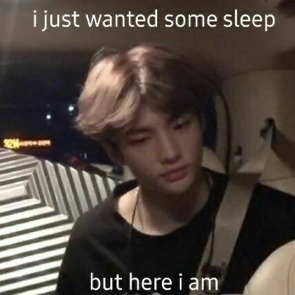 Stray Kids 팬이 찍은 순간