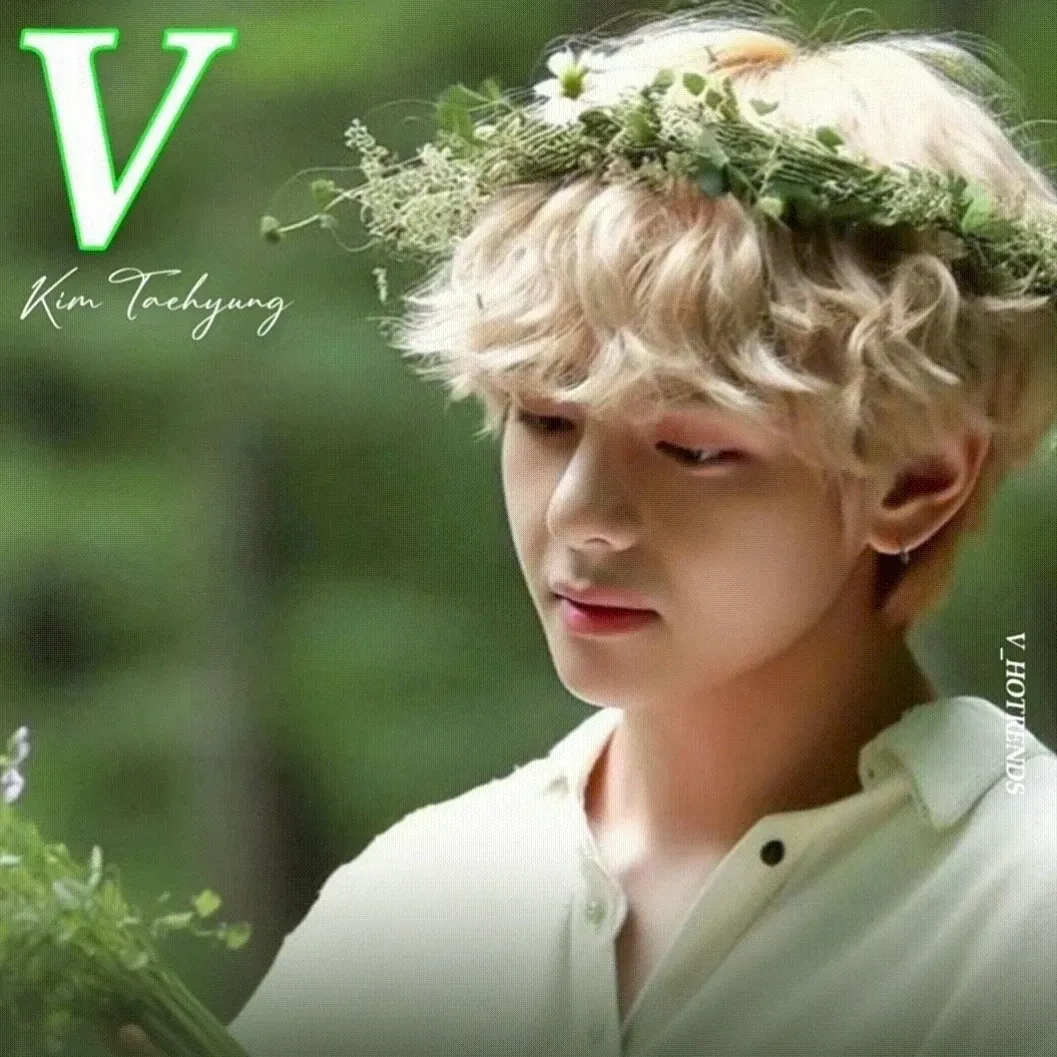 A moment captured by V (BTS)'s fan