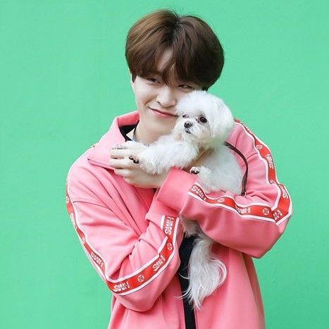 Momen yang diabadikan oleh penggemar GOT7