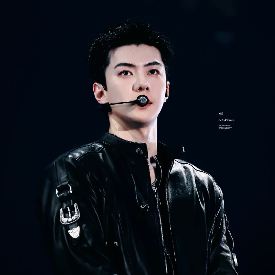 세훈 (EXO) 최근 활동샷